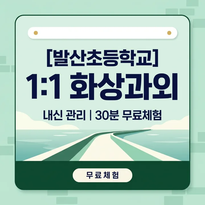 발산초등학교 수학과외 1:1 화상과외 안내