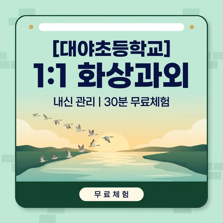 대야초등학교 국어과외 1:1 화상과외 안내