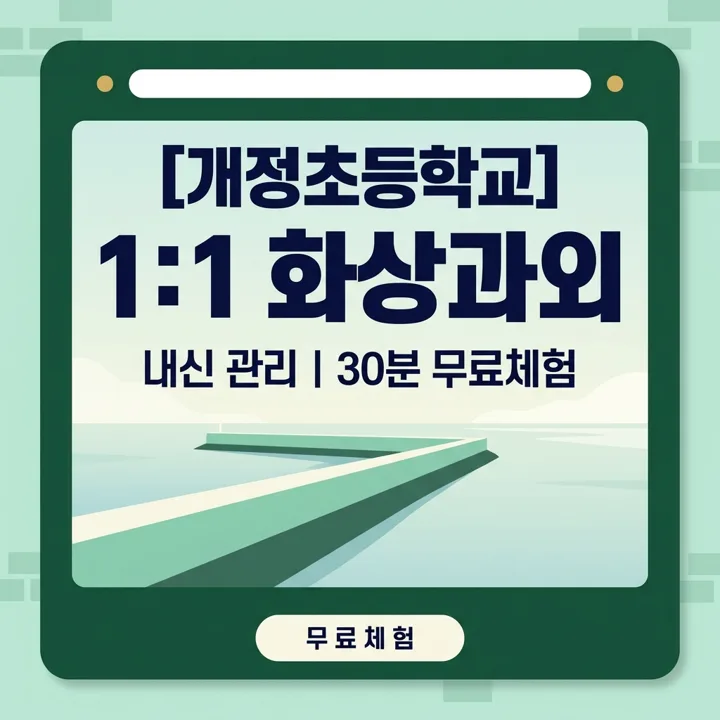 개정초등학교 국어과외 1:1 화상과외 안내