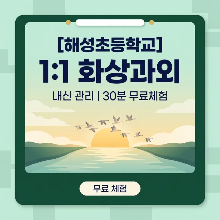 해성초등학교 영어과외 1:1 화상과외 안내