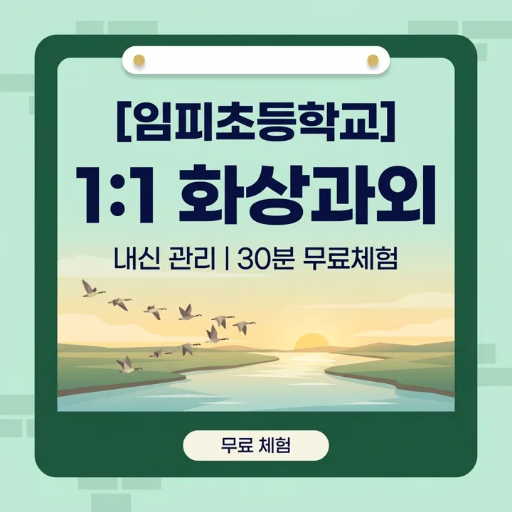 임피초등학교 영어과외 1:1 화상과외 안내