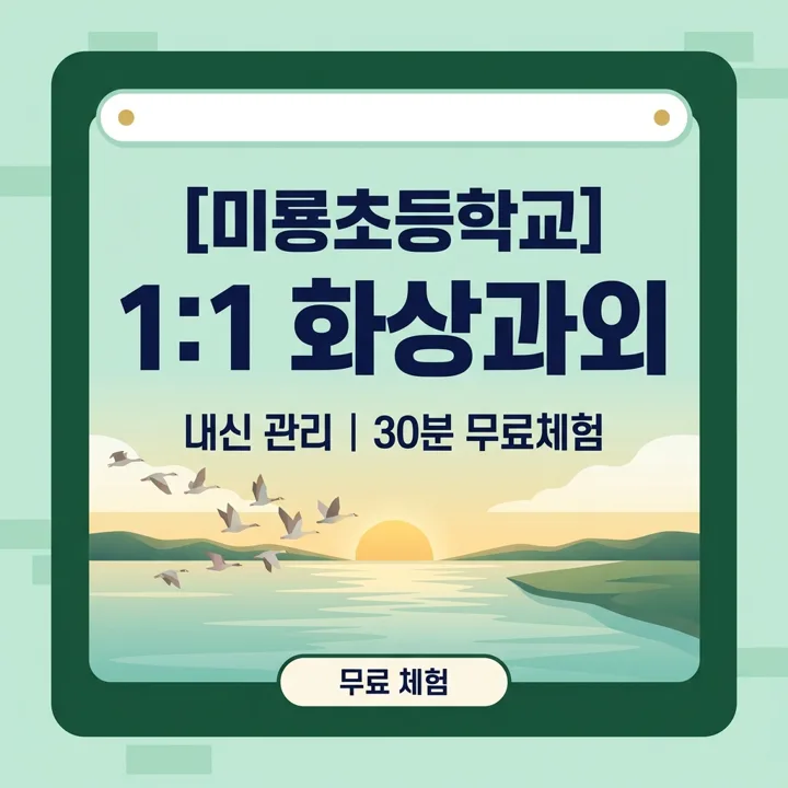 미룡초등학교 영어과외 1:1 화상과외 안내