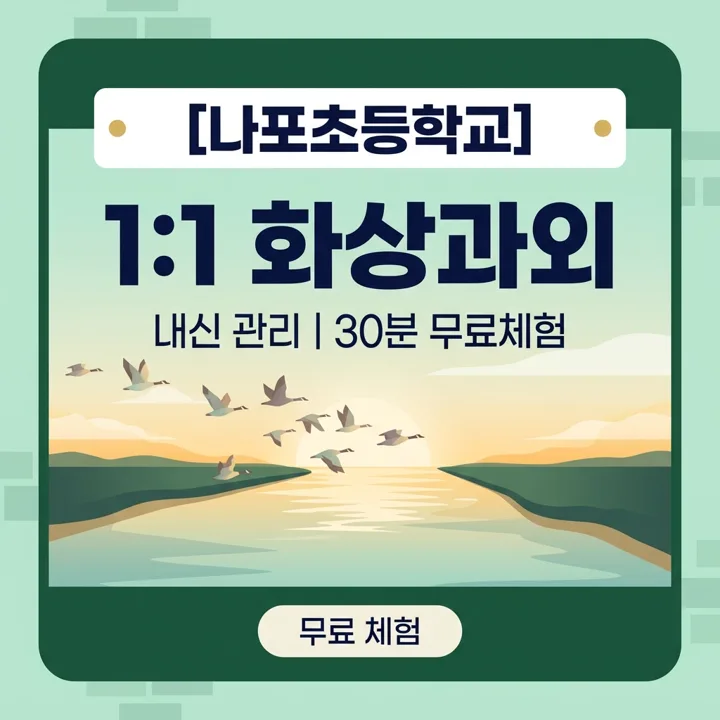 나포초등학교 수학과외 1:1 화상과외 안내