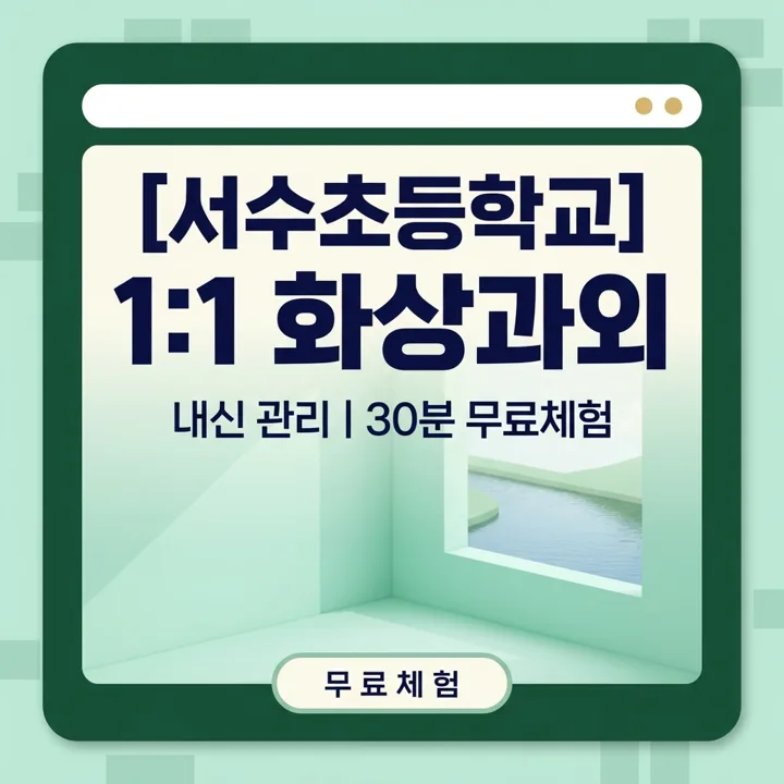 서수초등학교 국어과외 1:1 화상과외 안내