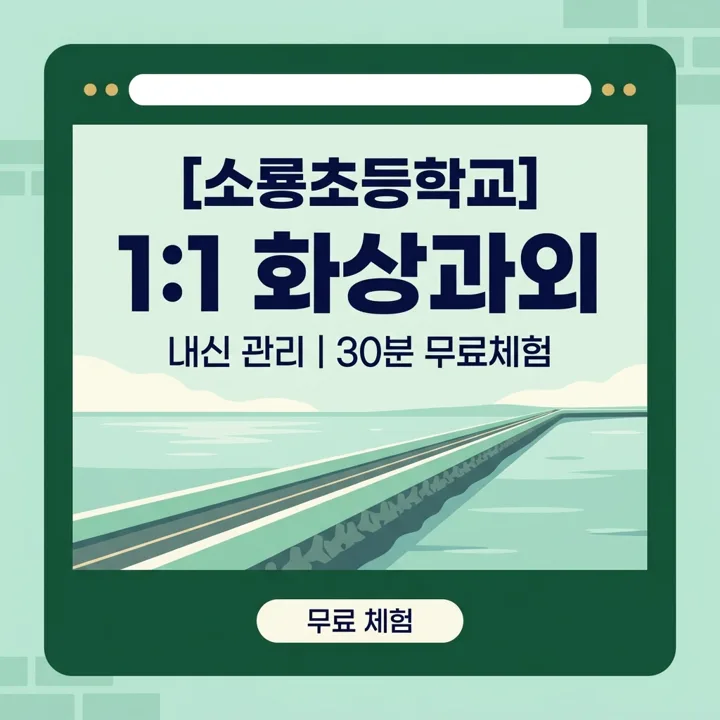 소룡초등학교 국어과외 1:1 화상과외 안내