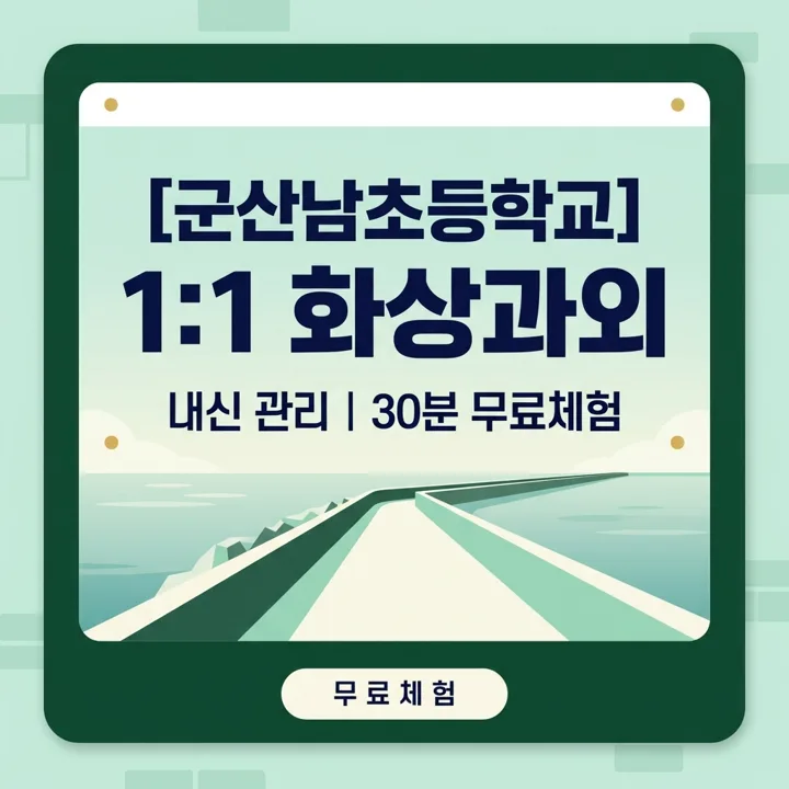 군산남초등학교 수학과외 1:1 화상과외 안내